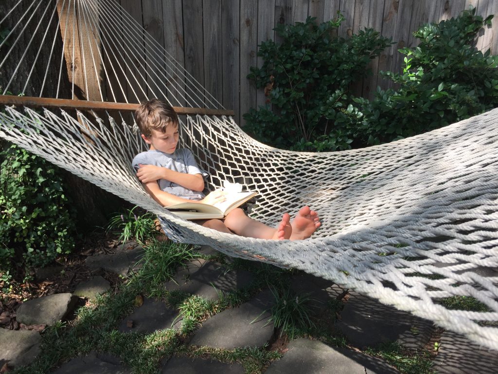 Summer of Growth and Change at Tamara Heather Interior Design