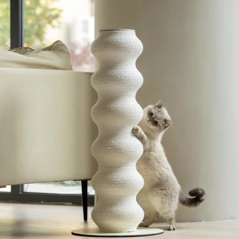 cat scratcher